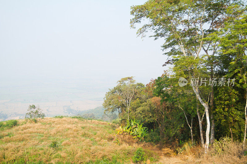 在清盛的 Doi Sa Ngo 山上